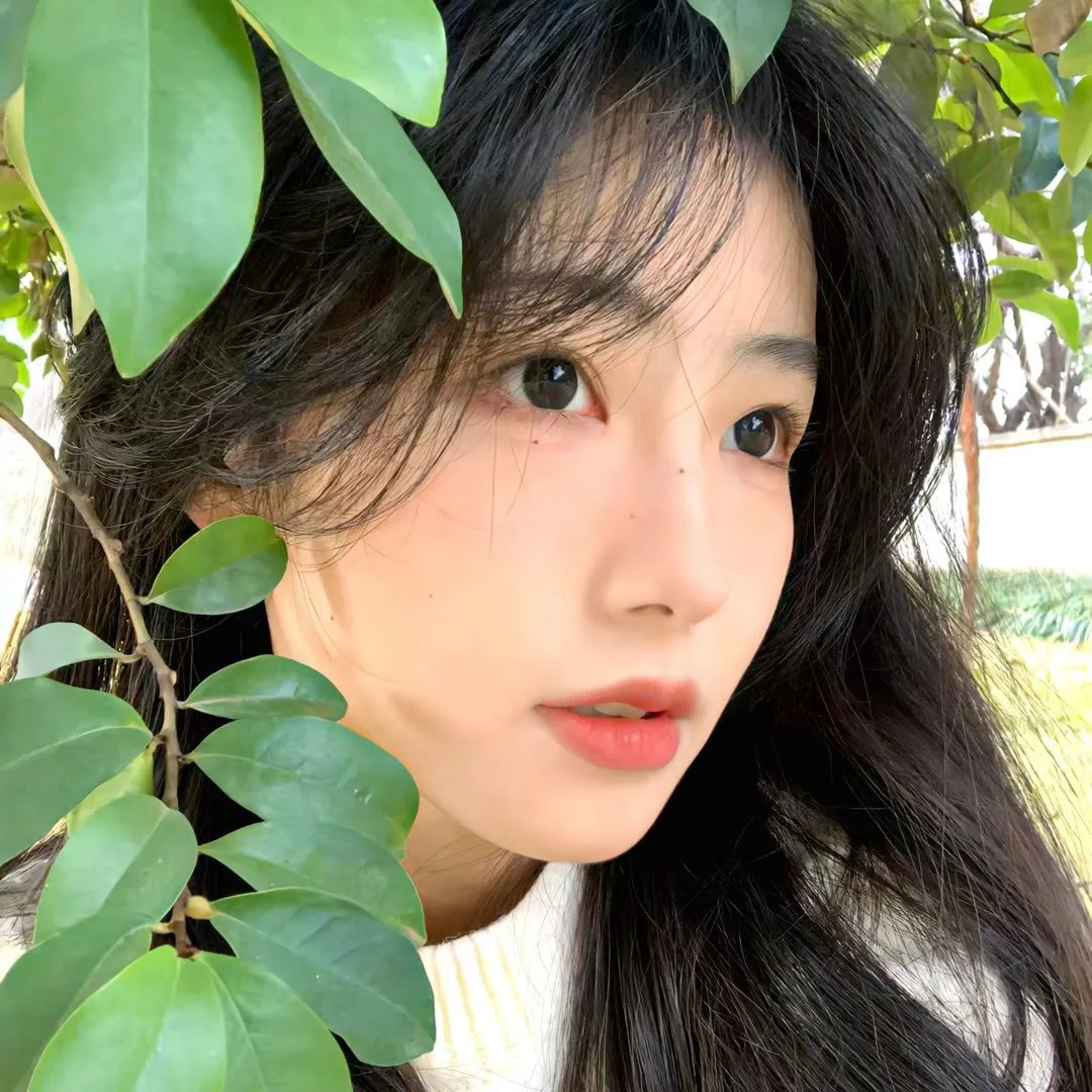 发现之岛